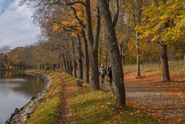 Royal National City Park